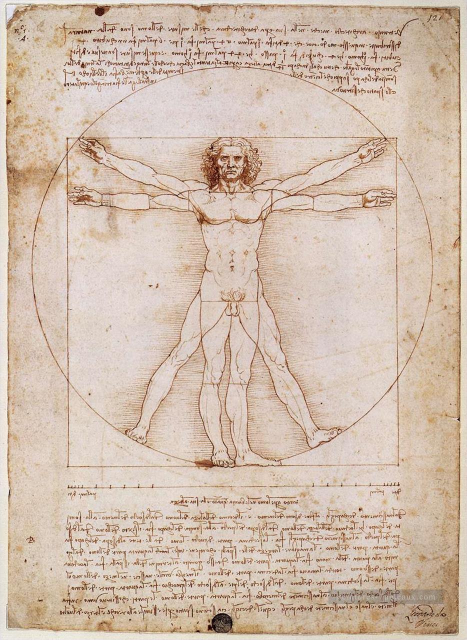 Homme de Vitruvian Léonard de Vinci Peintures à l'huile